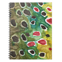 Logg för Flygfiske av brunnsforell