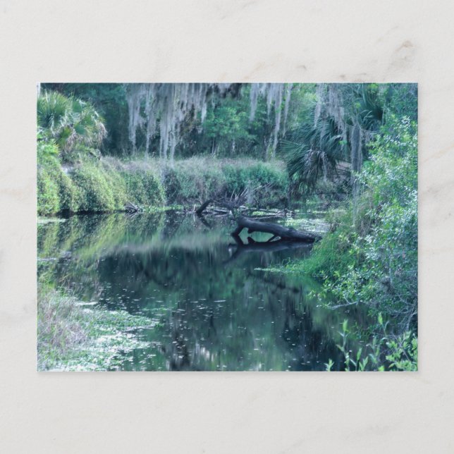 Logga in i floden vykort (Framsida)