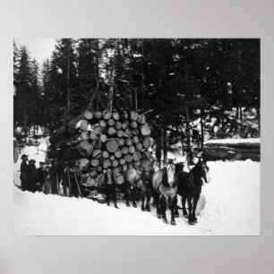 Loggar hauled på en Sleigh av ett lag av hästen Poster