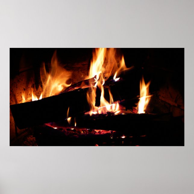 Loggar in i brandfotografiet för eldsläckare poster (Framsidan)