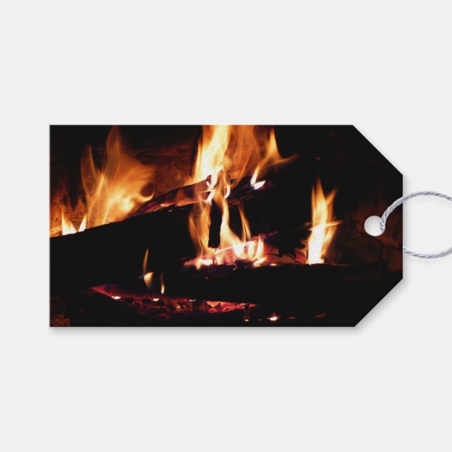 Loggar in i brandfotografiet för eldsläckare presentetikett (Framsidan (Horisontell))