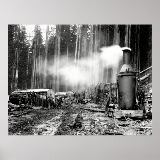 LOGGAR MED STEAM DONKEY c. 1879 Poster (Framsidan)