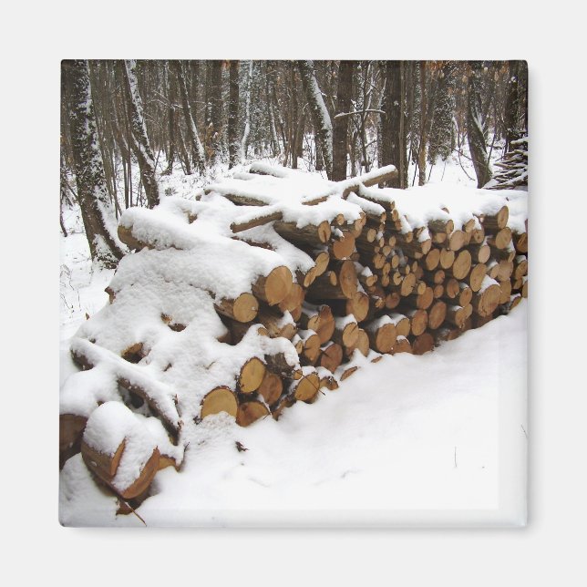 Loggcirkel i Skogen Magnet (Framsidan)