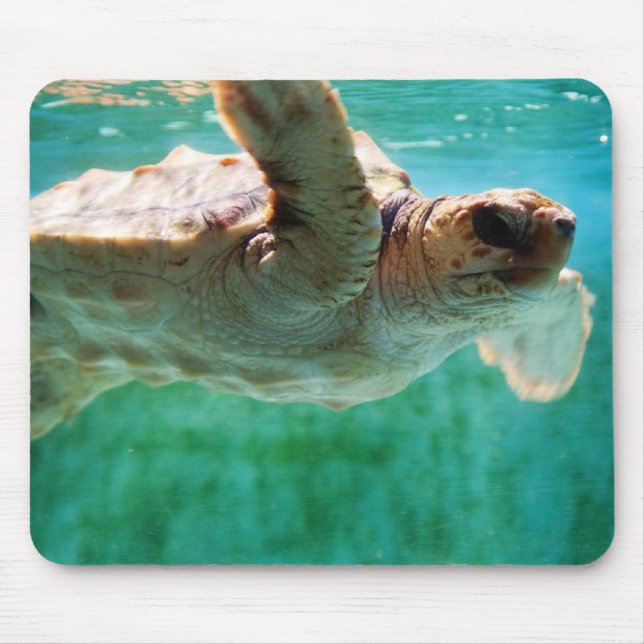 Loggerhead #1 Mousepad Musmatta (Framsidan)