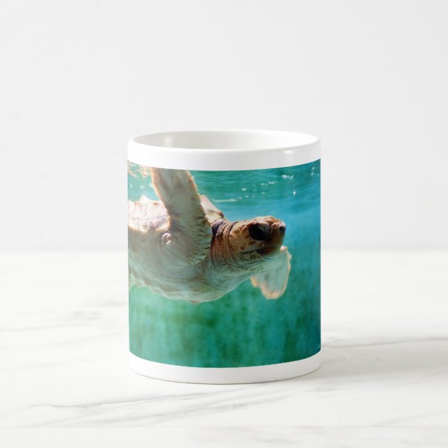 Loggerhead #1 Mugg (Center)