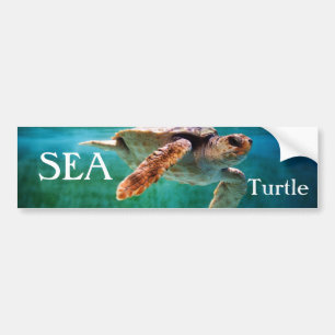 Loggerhead #2 Bumper Sticker Bildekal