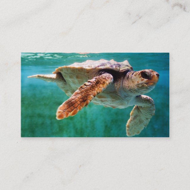 Loggerhead #2 Mini Print Visitkort (Framsida)