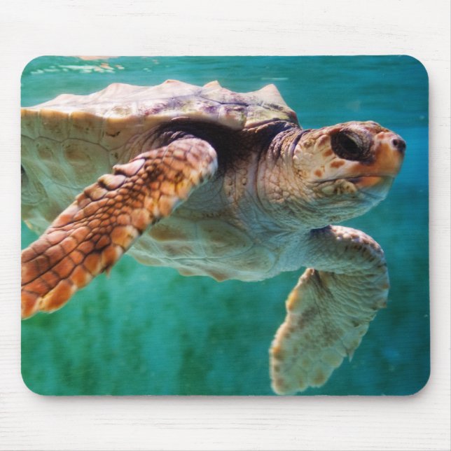 Loggerhead #2 Mousepad Musmatta (Framsidan)