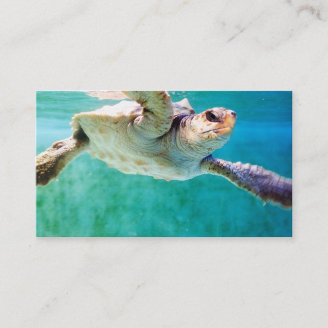 Loggerhead #3 Mini Print Visitkort (Framsida)