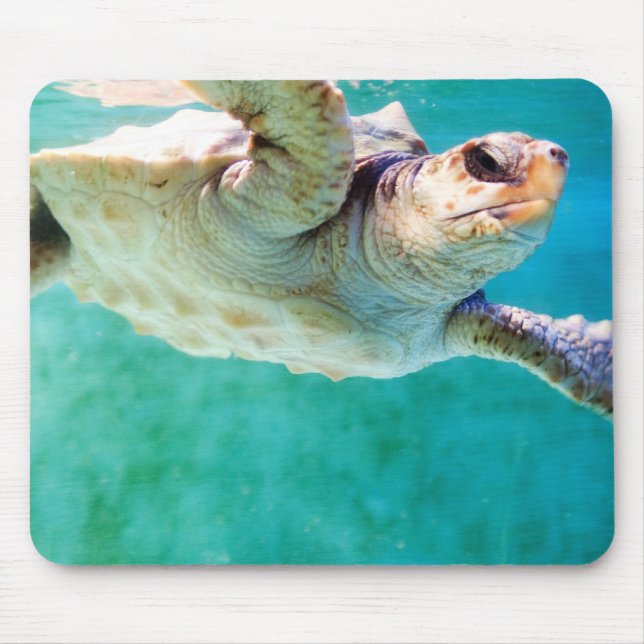 Loggerhead #3 Mousepad Musmatta (Framsidan)