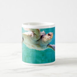 Loggerhead #3 Mugg