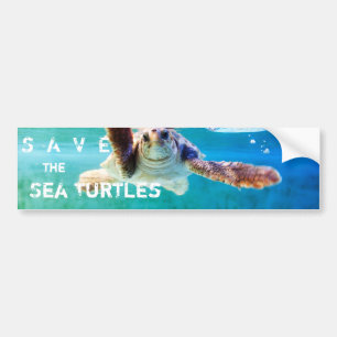 Loggerhead #4 Bumper Sticker Bildekal