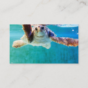 Loggerhead #4 Mini Print Visitkort