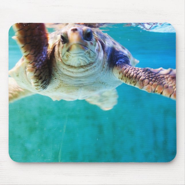 Loggerhead #4 Mousepad Musmatta (Framsidan)