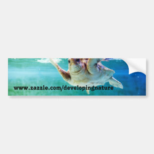 Loggerhead #5 Bumper Sticker Bildekal