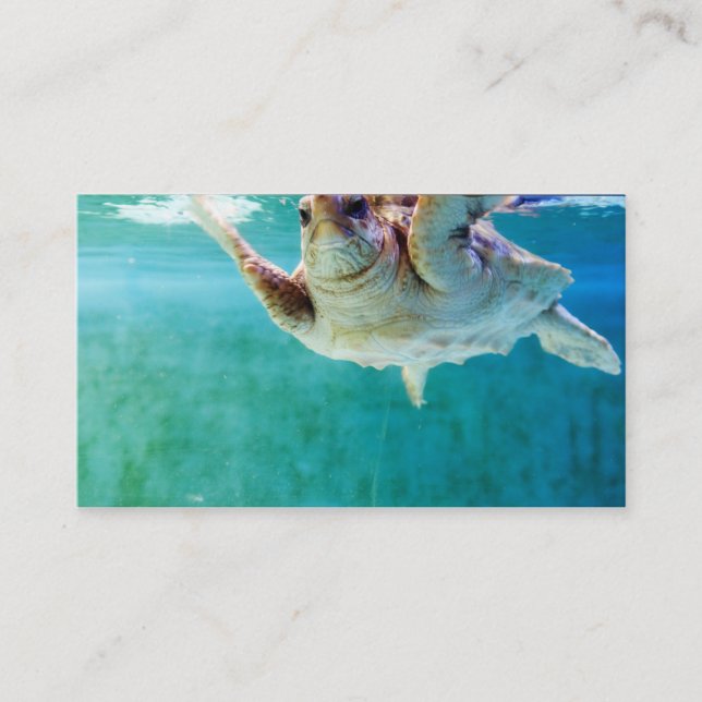 Loggerhead #5 Mini Print Visitkort (Framsida)