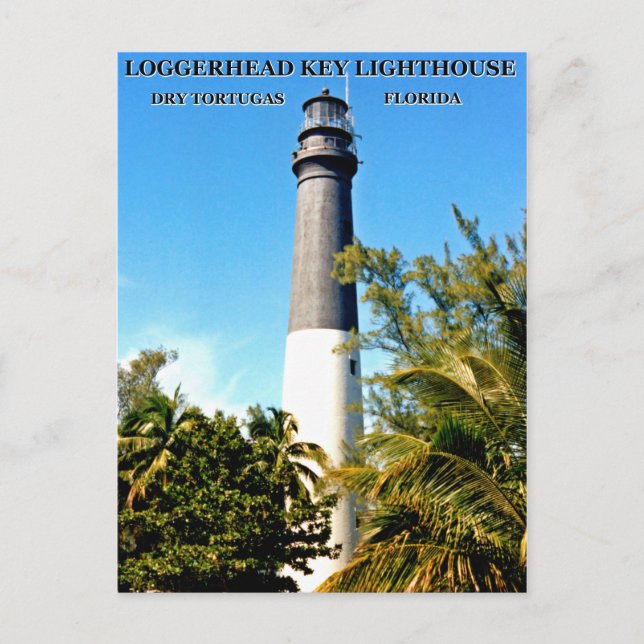 Loggerhead Key Lighthouse, Florida vykort (Framsida)