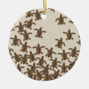 Loggerhead Sea Turtle Hatchlings Ornament