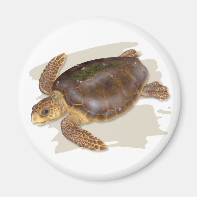 Loggerhead Sea Turtle Magnet (Framsidan)