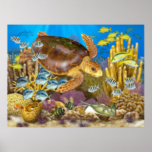 Loggerhead Sea Turtle over Reef Poster