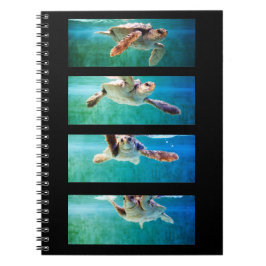 Loggerhead Sea Turtle Study Notebook Anteckningsbok Med Spiral