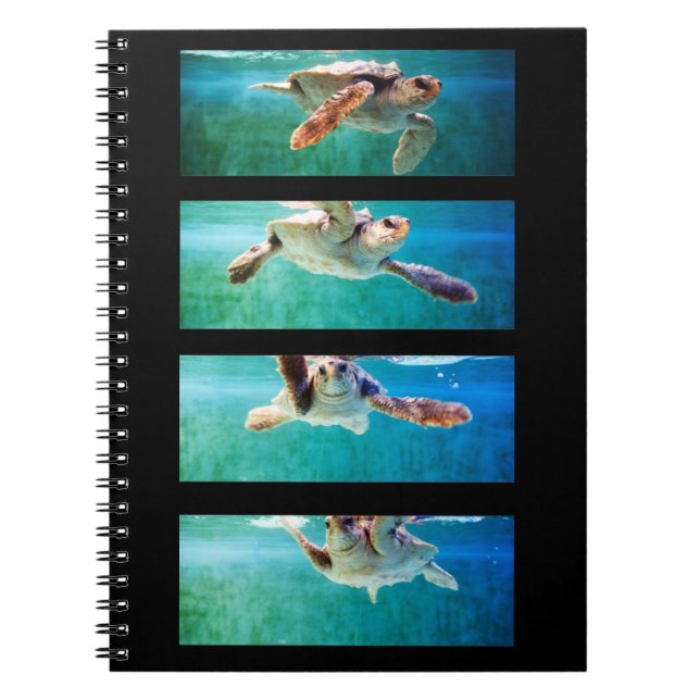 Loggerhead Sea Turtle Study Notebook Anteckningsbok Med Spiral (Framsidan)