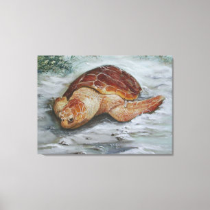 Loggerhead Turtle - St George Island Canvastryck