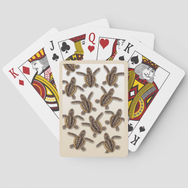 Loggerheadhavssköldpadda som leker kort kortlek (Baksidan)