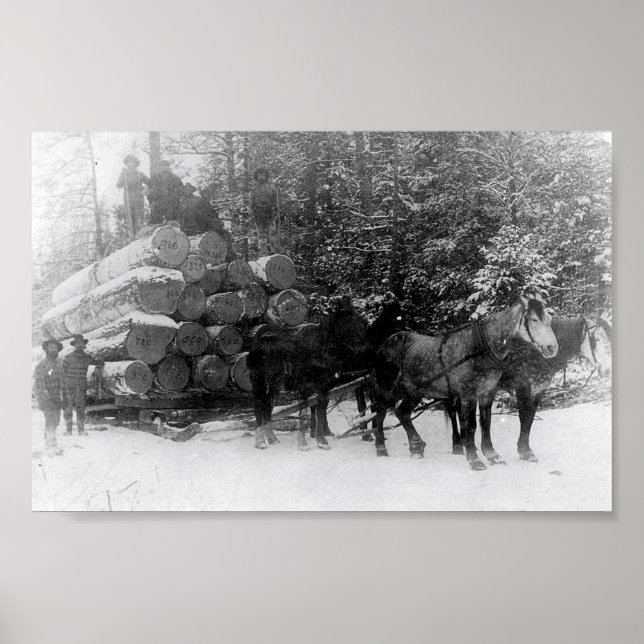 Loggslang Poster (Framsidan)