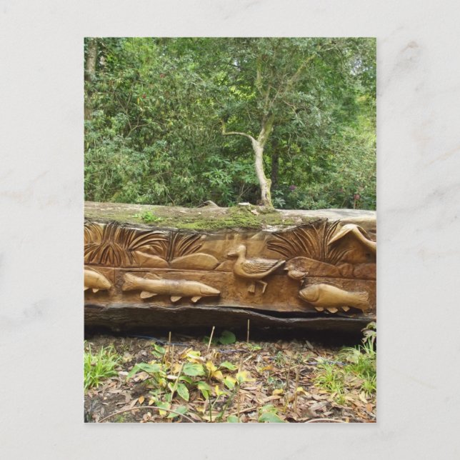 Loggtransport Vykort (Framsida)