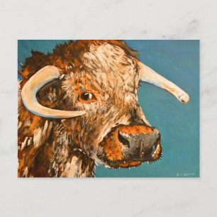 Logie Longhorn 2 Vykort