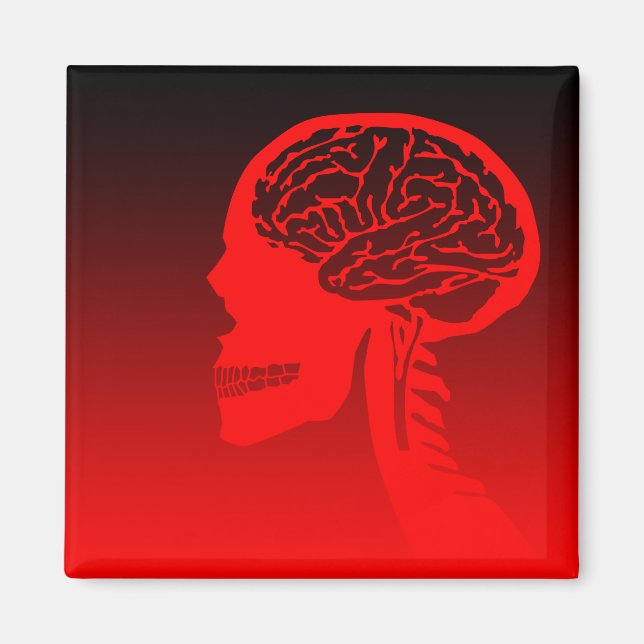 logikskalle magnet (Framsidan)