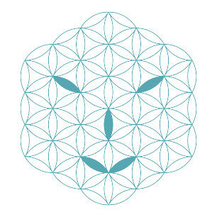 logotyp 01, cyan/röd keps