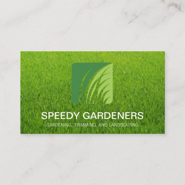 Logotyp av gräs | Landscaper Träd Icon Visitkort (Framsida)