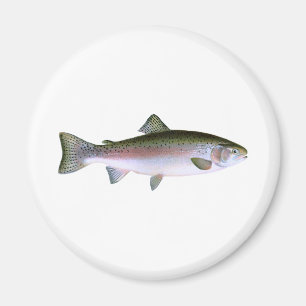 Logotyp för fiske för Steelheadregnbågeforell Magnet