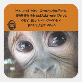 Logotyp för Officiell av Orangutan-adressetikett Fyrkantigt Klistermärke