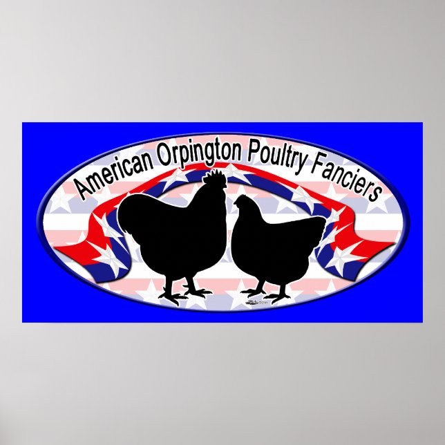 Logotyp för Orpington-Klubb Poster (Framsidan)