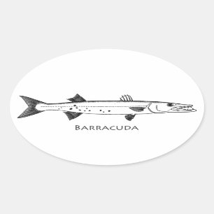 Logotyp för underbar Barracuda Ovalt Klistermärke