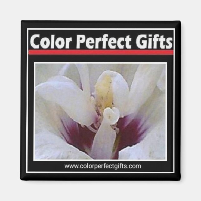 Logotyp Magnet (Framsidan)