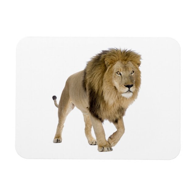 Loin-bild för fotomagnet magnet (Horisontell)
