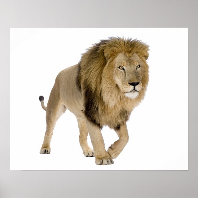 Loin-bild för poster (Framsidan)