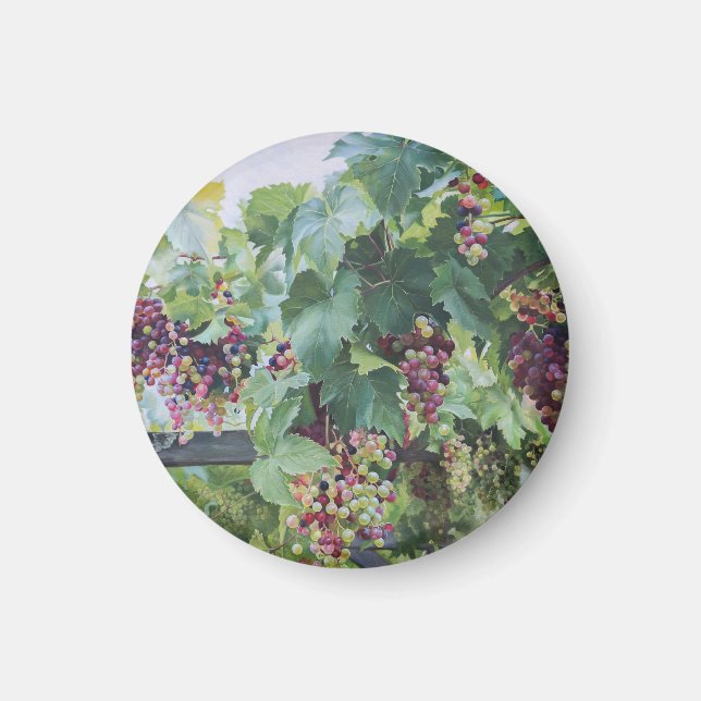Loire Valley Vindruvor – Fransk Druvmålning Magnet (Framsidan)