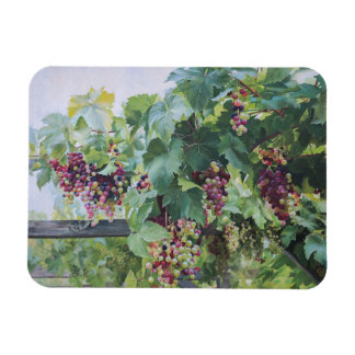 Loire Valley Vindruvor – Fransk Druvmålning Magnet