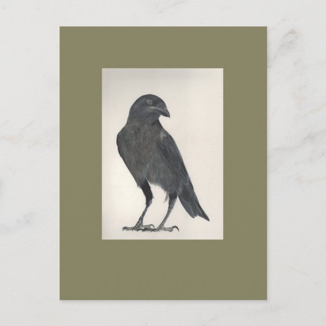 L'oiseau fier vykort (Framsida)