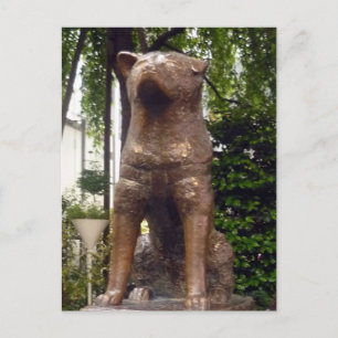 lojal hachiko vykort