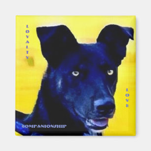 Lojalitet Kärlek Hund Ansikte Magnet