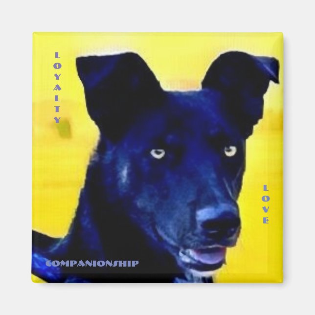 Lojalitet Kärlek Hund Ansikte Magnet (Framsidan)