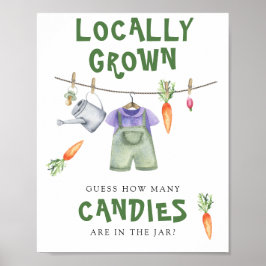 lokalt odlad baby shower - gissa hur många godisar poster