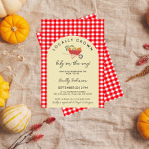 Lokalt odlad modern Red Gingham Baby Shower
