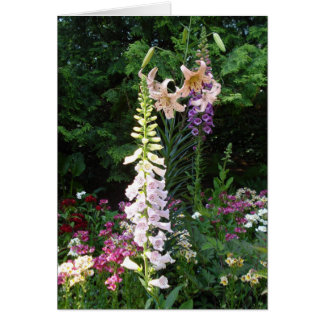 Lökar i Bloom OBS Kort